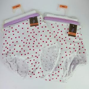 Secret Treasures 6 Pair Women's Brief Panties